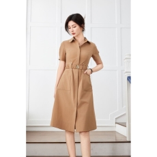 Burberry Dress